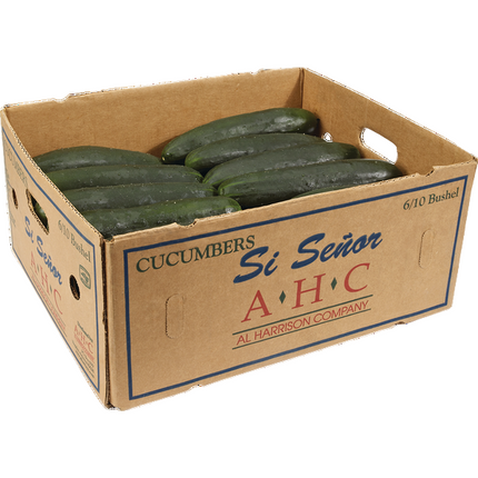 Cucumber 24 CT