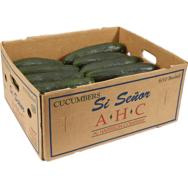 Cucumber 24 CT