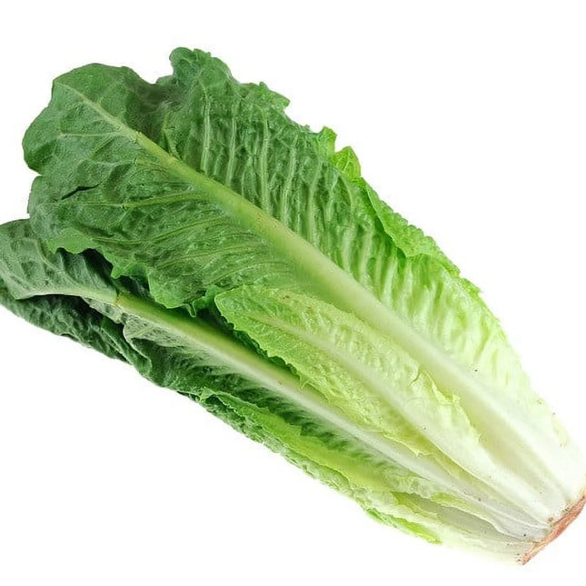 Fresh Romaine Lettuce Hearts 3 Count, Each