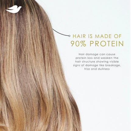 Dove Shampoo Bond Strength with Bio-Protein Care Technology & Peptide Complex, 12 Oz