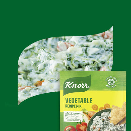 Knorr No Artificial Flavors Vegetable Recipe Soup Mix, 1.4 Oz, Pouch