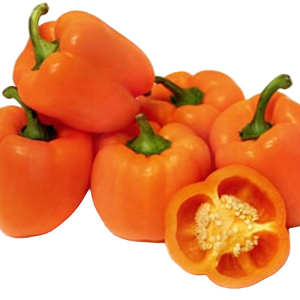 Sweet Orange Bell Peppers 6 CT