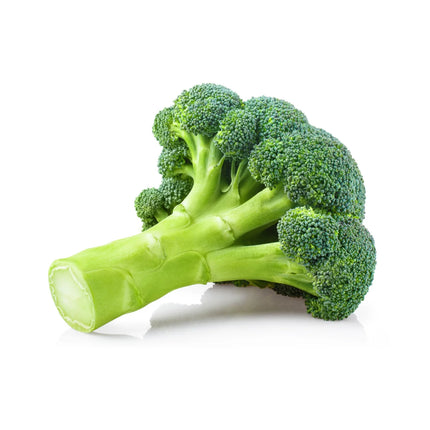 Freshly Cut, Vibrant Green Broccoli Bunch, 1 Bunch