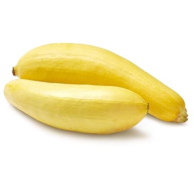Summer Yellow Squash 1.5 LB