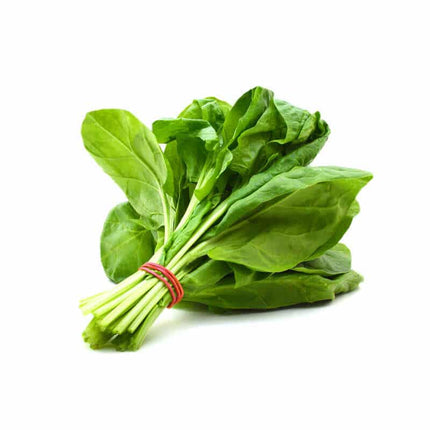 Baby Spinach 16 OZ