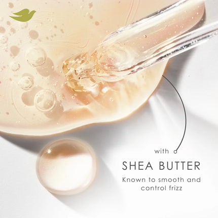 Dove Shampoo for Women anti Frizz & Smooth with Bio-Protein Care Technology and Shea Butter, 18 Oz