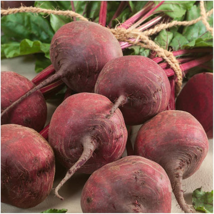 1 Bundle Beets 32 OZ