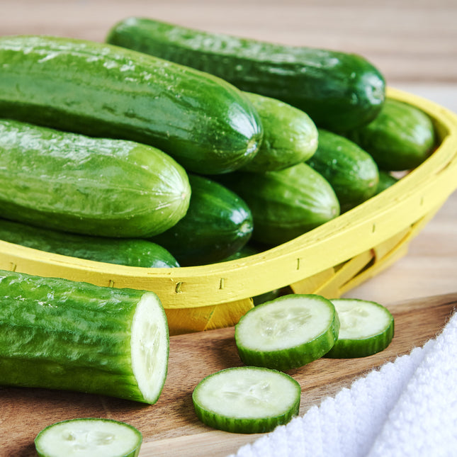 Fresh Mini Cucumbers, 16 Oz