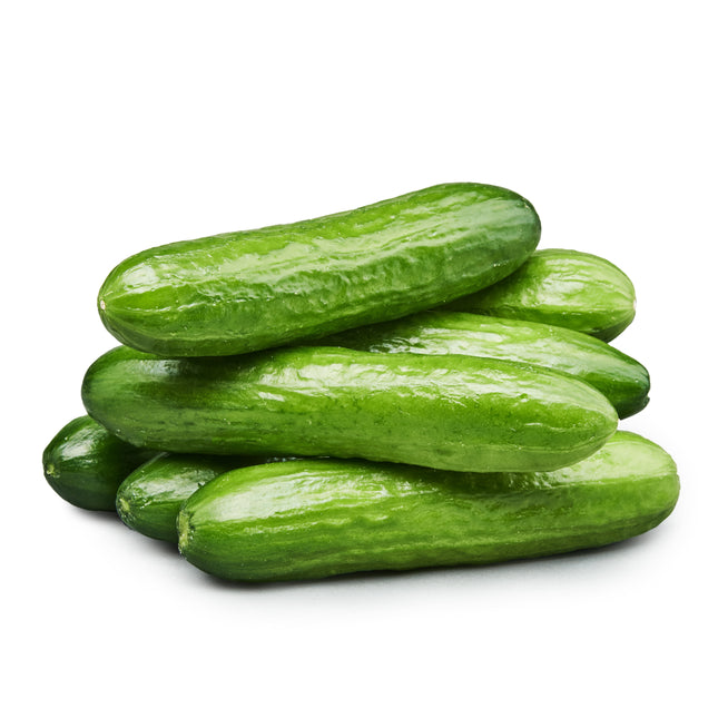 Fresh Mini Cucumbers, 16 Oz