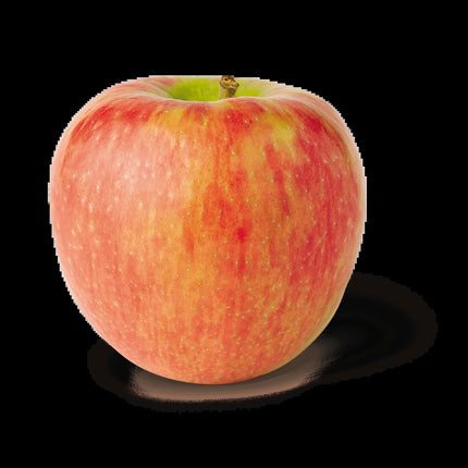 Fresh Honeycrisp Apple, Each