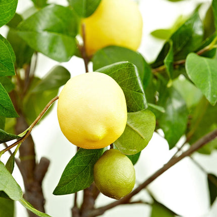 Fresh Organic Lemons, 2 Lb Bag