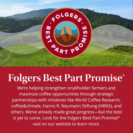 Folgers Classic Roast Instant Coffee, Single Serve Packets
