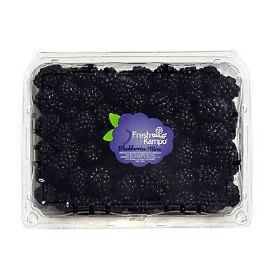 BLACKBERRIES 12 OZ