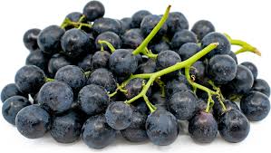 BLACK SEEDLESS GRAPES 16 OZ