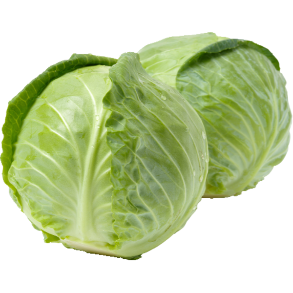 Fresh Green Cabbage, Each