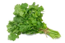 Cilantro 2 oz