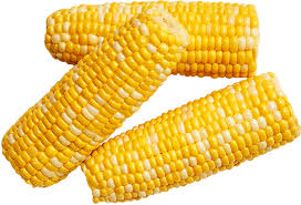SUPER SWEET CORN 8 CT