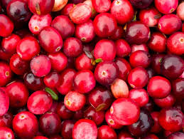 Cranberries 2 LB Seasonal Winter Months New York State Approved, Inmate Care package friendly