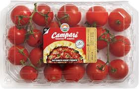 Campari Tomato