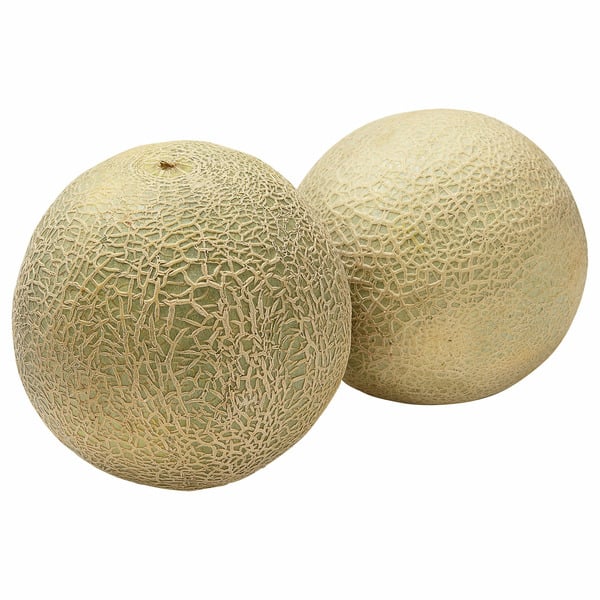 Cantaloupe 2 CT New York State Approved, Inmate Care package friendly