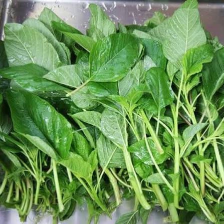 FRESH CALLALOO (Summer Season) 16 O0Z