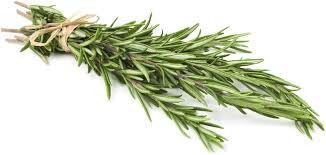 FRESH ROSEMARY 2.5 OZ