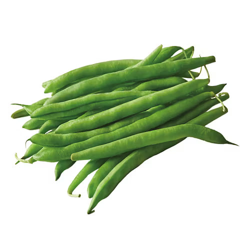 French Green Beans 16 OZ
