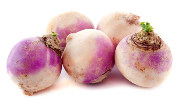 1 Fresh Turnips 16 OZ