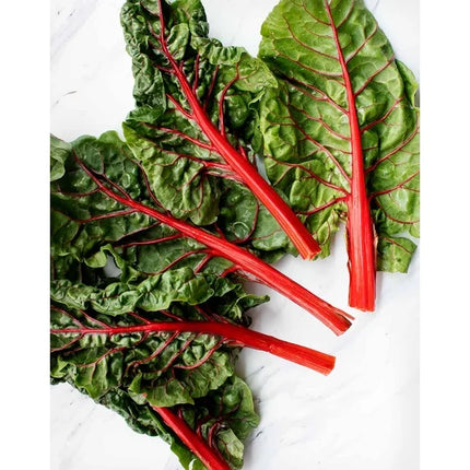 Fresh Bright Lights Swiss Chard,