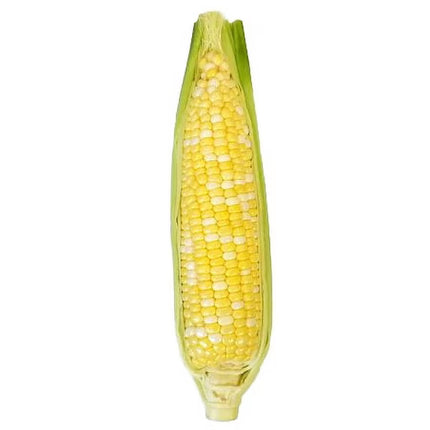 Fresh Sweet Corn on the Cob, Each