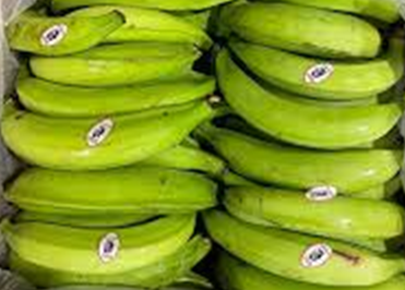 GREEN PLANTAIN   10-12 CT