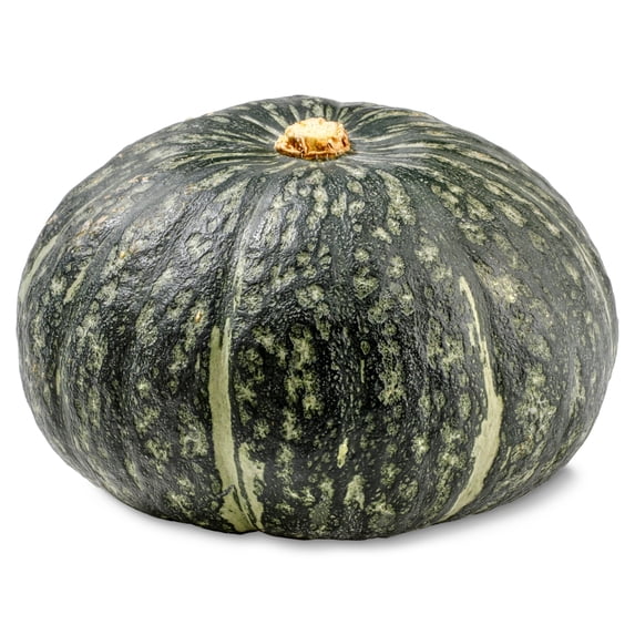 WHOLE UNCUT GREEN PUMPKIN 3 LBS (Buttercup Squash) New York State Approved, Inmate Care package friendly