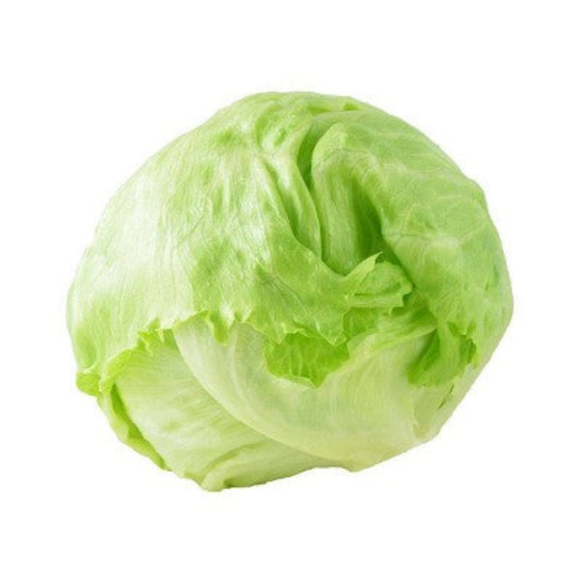Iceberg Lettuce