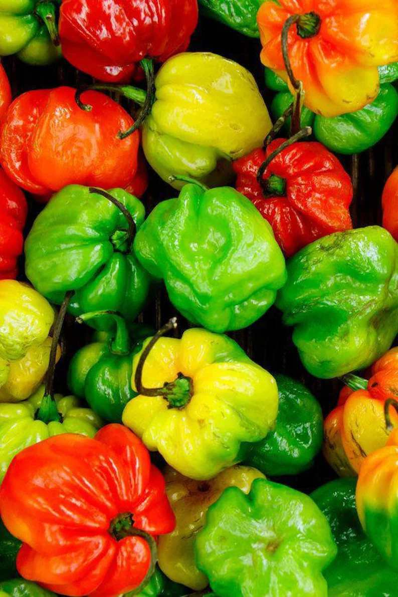 Jamaican Hot Peppers 4 ct