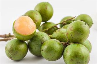 Jamaican Guinep Fruit (Spanish Limes) New York State Approved, Inmate Care package friendly