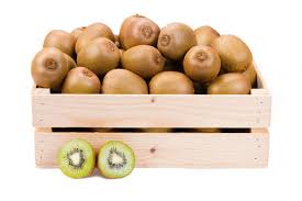 GREEN KIWI BOX 28-33 CT