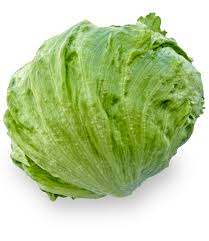 Iceberg Lettuce