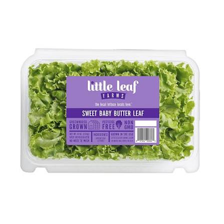 Little Leaf Farms Sweet Baby Butter Leaf Lettuce, 8 oz.