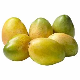 SWEET TROPICAL MANGO 6 CT