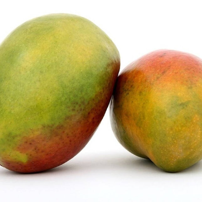 1 Fresh  Sweet Tropical Mango