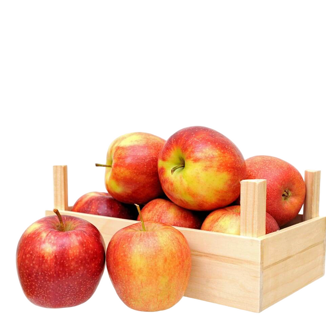 McIntosh Apples 10–12 CT
