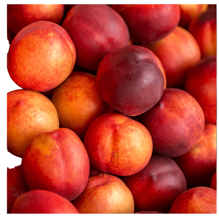 Nectarines 8 CT 3.5 LB