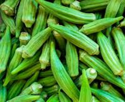 OKRA 3 LBS BOX