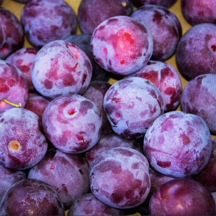 Organic Plums 8 CT 3 LBS