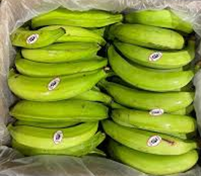 GREEN PLANTAIN   10-12 CT