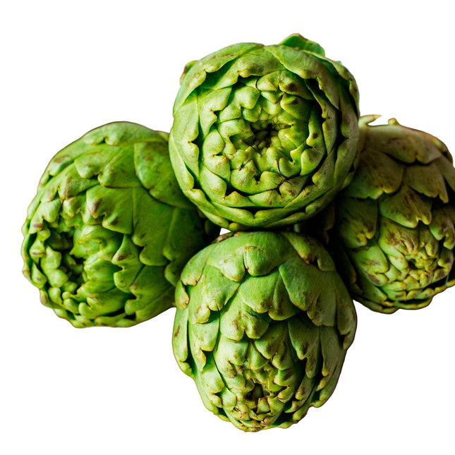Fresh Artichoke 24 OZ