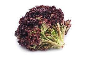Red Leaf Lettuce