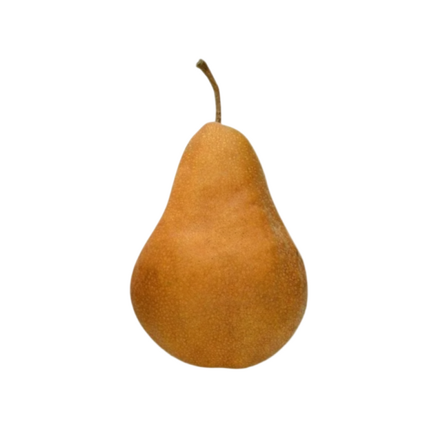 1 Bosc Pear New York State Approved, Inmate Care package friendly