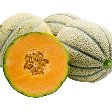 Tuscan Cantaloupe, 2-count