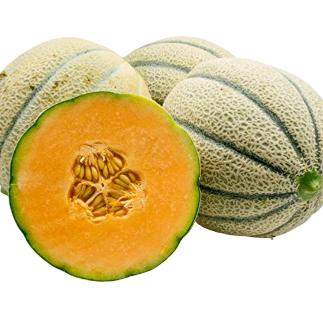 Tuscan Cantaloupe, 2-count
